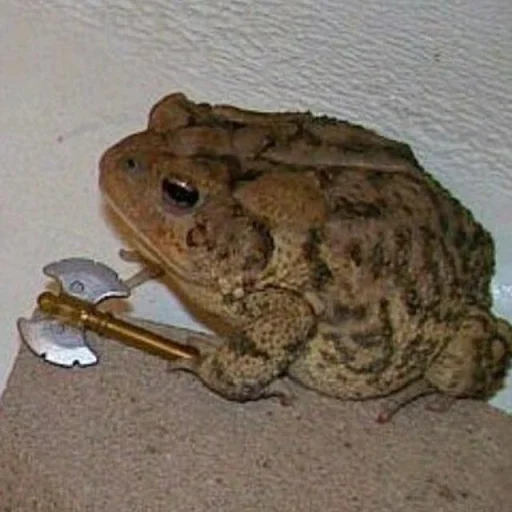 🐸 Стикер «Toads and Frogs» для Telegram