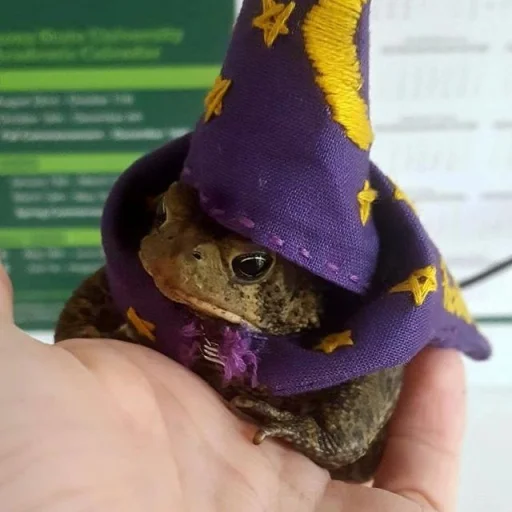 🐸 Стикер «Toads and Frogs» для Telegram