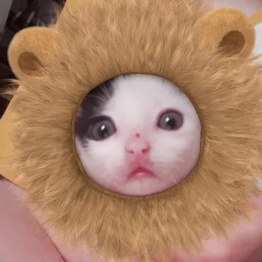 🦁 Стикер «Tobi Super Deluxe Stickers Part 2 Electric Boogaloo» для Telegram