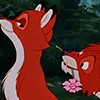 🌸 Эмодзи «tod and vixey Fox and the Hound» для Telegram