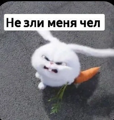 👺 Стикер «Toed Hylic Wiry» для Telegram