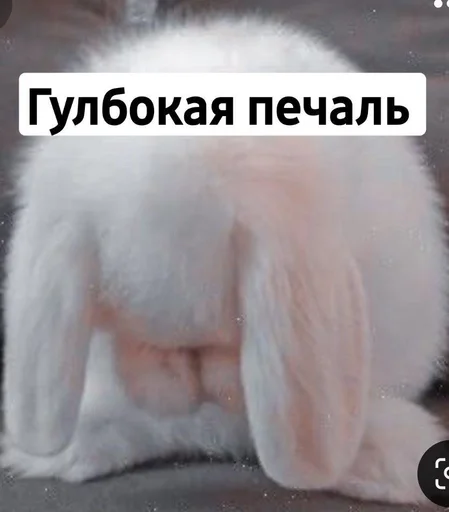 😭 Стикер «Toed Hylic Wiry» для Telegram
