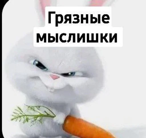 🫣 Стикер «Toed Hylic Wiry» для Telegram