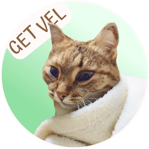 🤒 Стикер «ToffeePie» для Telegram
