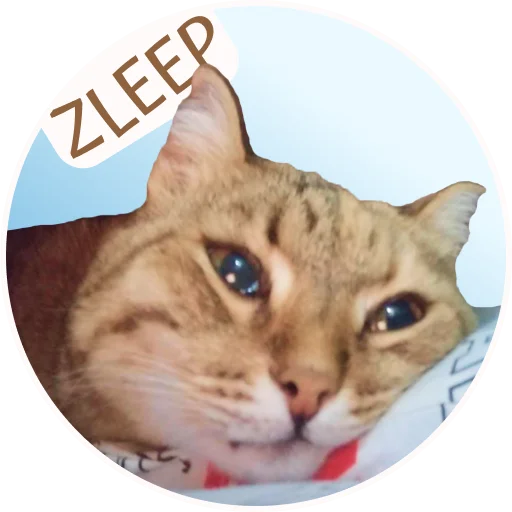 😴 Стикер «ToffeePie» для Telegram
