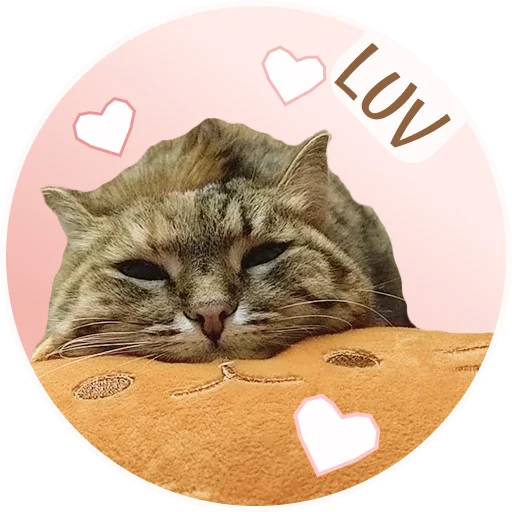 ❤️ Стикер «ToffeePie» для Telegram