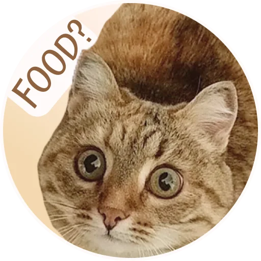 😮 Стикер «ToffeePie» для Telegram