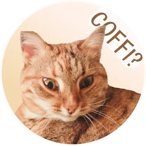 ☕ Стикер «ToffeePie» для Telegram