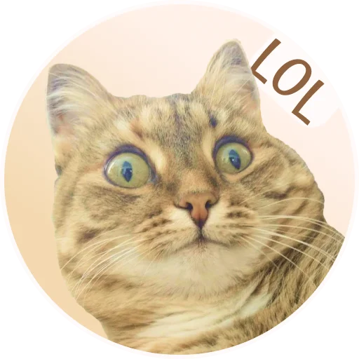 😁 Стикер «ToffeePie» для Telegram