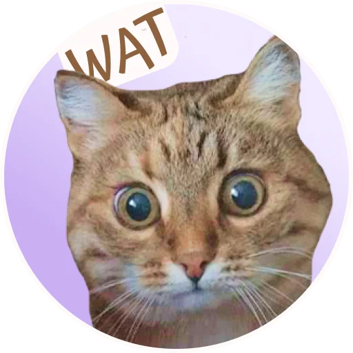 😲 Стикер «ToffeePie» для Telegram