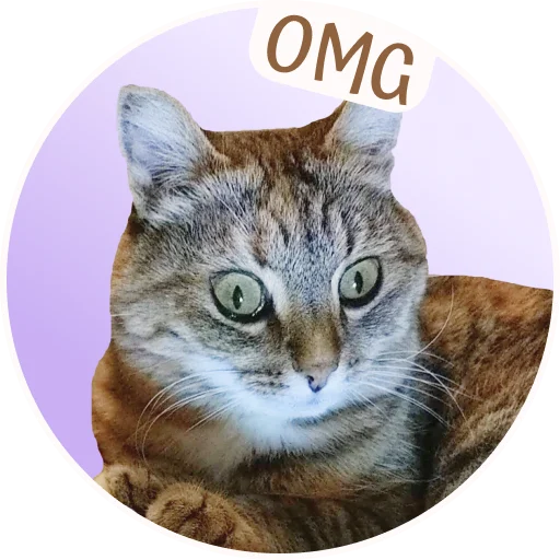 😱 Стикер «ToffeePie» для Telegram