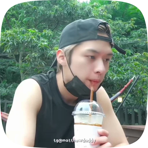 🧊 Стикер «Lee Know» для Telegram