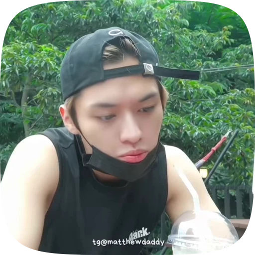 🧊 Стикер «Lee Know» для Telegram
