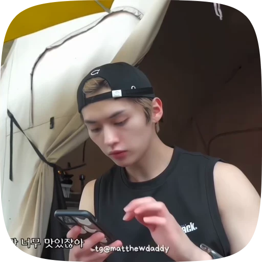 🧊 Стикер «Lee Know» для Telegram