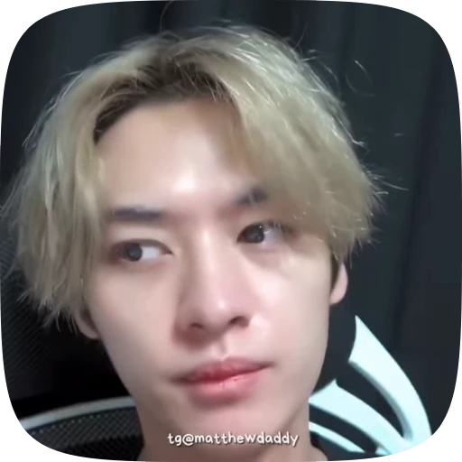 🧊 Стикер «Lee Know» для Telegram