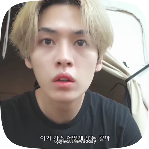 🧊 Стикер «Lee Know» для Telegram