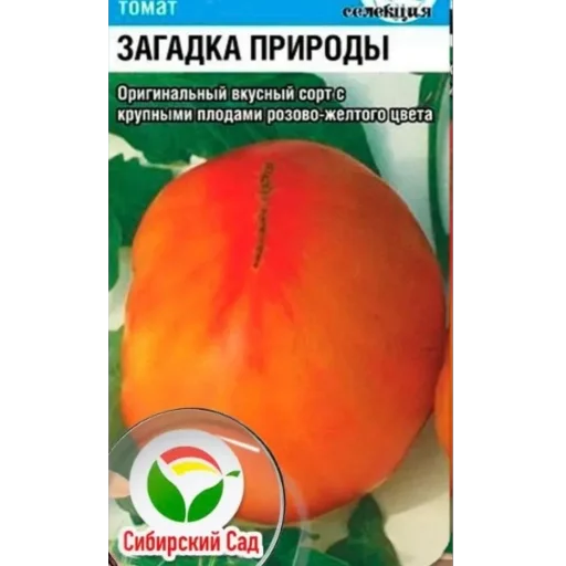 🧐 Стикер «Томаты» для Telegram