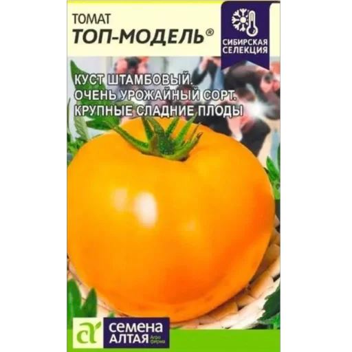 💅 Стикер «Томаты» для Telegram
