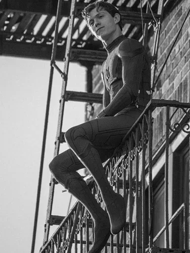 🕸 Стикер «Tom Holland BW» для Telegram