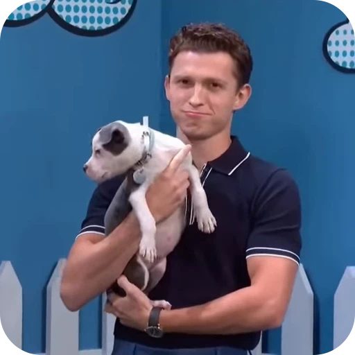 🕷️ Стикер «Tom Holland» для Telegram