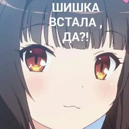 😼 Стикер «Томыч» для Telegram
