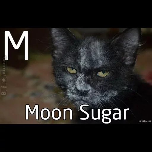 😙 Стикер «too much sugar» для Telegram