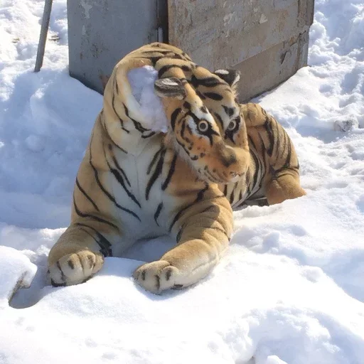 🤪 Стикер «too much sugar» для Telegram