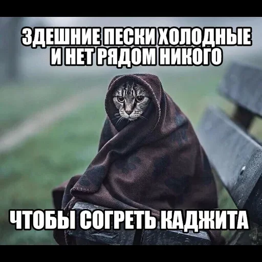 🥶 Стикер «too much sugar» для Telegram