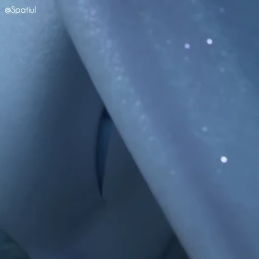 〰️ Стикер «Toothless» для Telegram