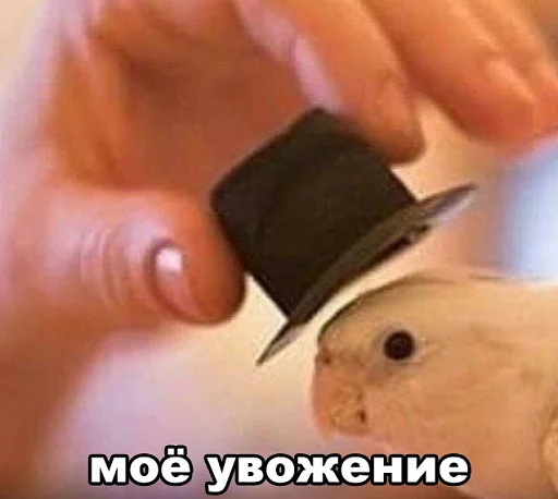 👍 Стикер «ТОПЧЕГ» для Telegram