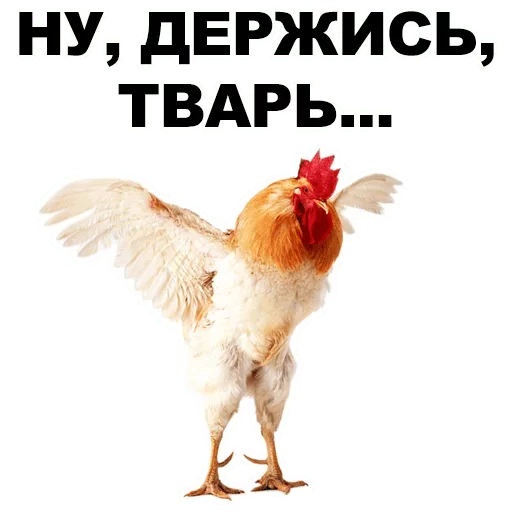 😈 Стикер «ТОПЧЕГ» для Telegram