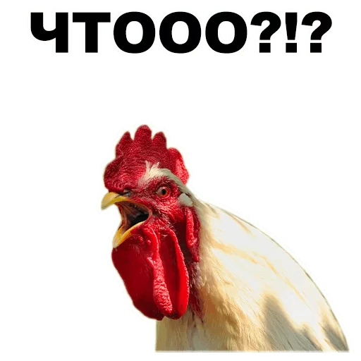 😱 Стикер «ТОПЧЕГ» для Telegram