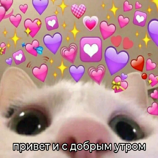 😍 Стикер «взлом жопы» для Telegram