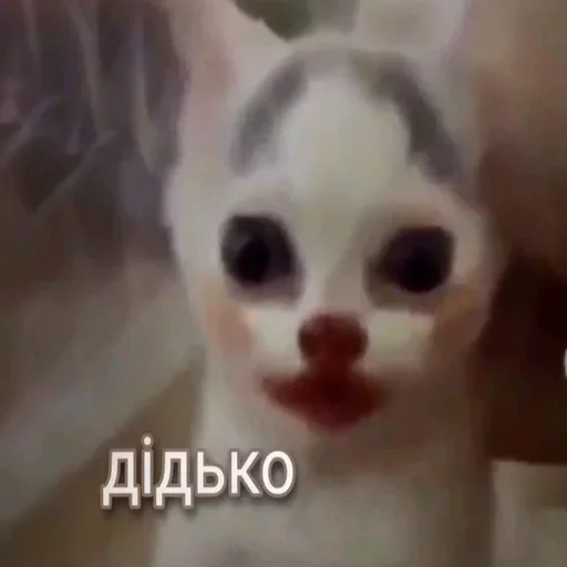 🤡 Стикер «взлом жопы» для Telegram