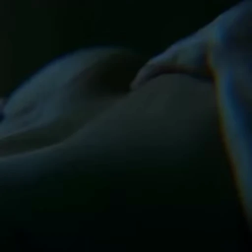 🔞 Стикер «Dick Grayson» для Telegram