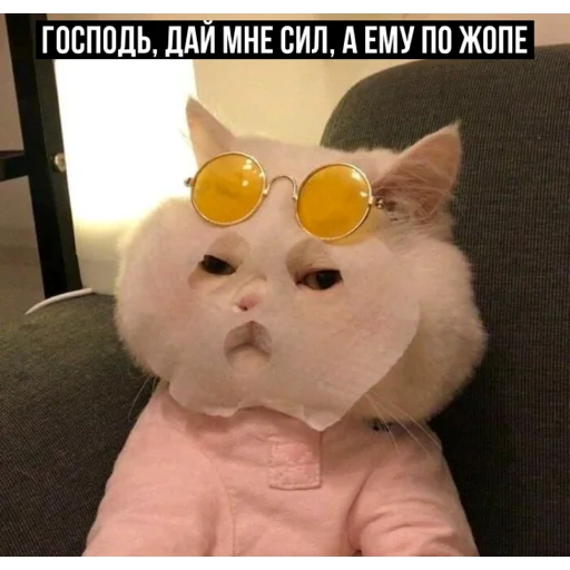 🙏 Стикер «задолбанные котики» для Telegram
