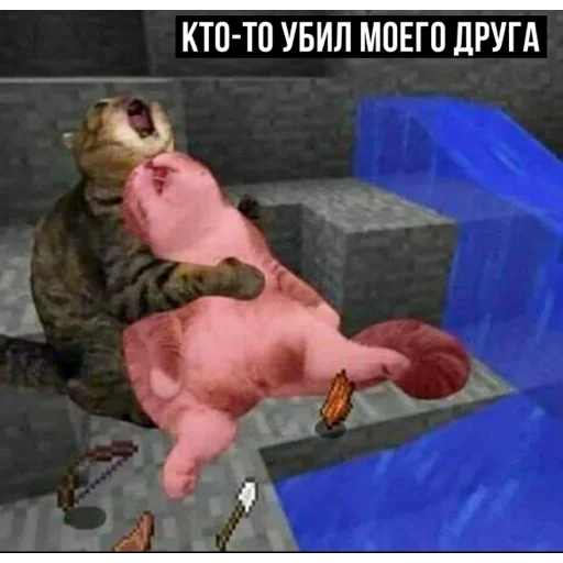 😫 Стикер «задолбанные котики» для Telegram