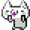 🤩 Эмодзи «toro cat» для Telegram