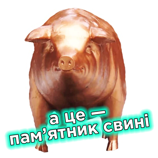 🐽 Стикер «Телебачення Торонто» для Telegram