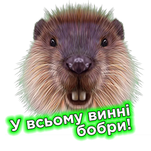 👉 Стикер «Телебачення Торонто» для Telegram
