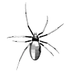 Стикер 61 𝐼𝑋𝐼𝑉𝑋𝑋𝐼𝑉