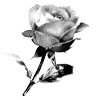 Стикер 53 𝐼𝑋𝐼𝑉𝑋𝑋𝐼𝑉