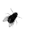 Стикер 38 𝐼𝑋𝐼𝑉𝑋𝑋𝐼𝑉