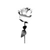 Стикер 48 𝐼𝑋𝐼𝑉𝑋𝑋𝐼𝑉