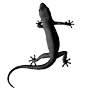 Стикер 21 𝐼𝑋𝐼𝑉𝑋𝑋𝐼𝑉