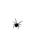 Стикер 57 𝐼𝑋𝐼𝑉𝑋𝑋𝐼𝑉