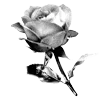 Стикер 51 𝐼𝑋𝐼𝑉𝑋𝑋𝐼𝑉