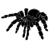 Стикер 31 𝐼𝑋𝐼𝑉𝑋𝑋𝐼𝑉