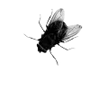 Стикер 41 𝐼𝑋𝐼𝑉𝑋𝑋𝐼𝑉