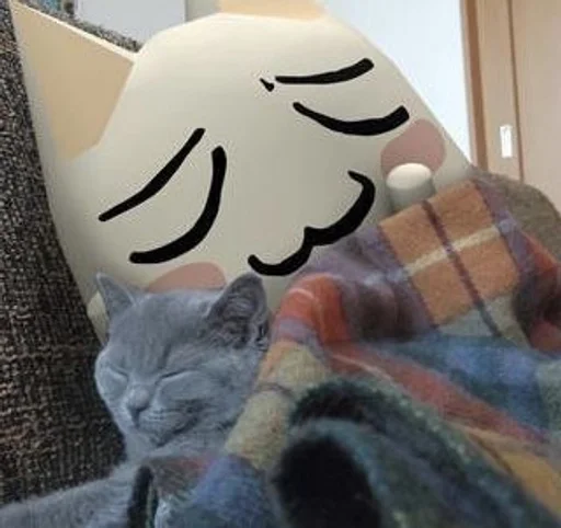 😽 Стикер «Торо Иноуэ» для Telegram